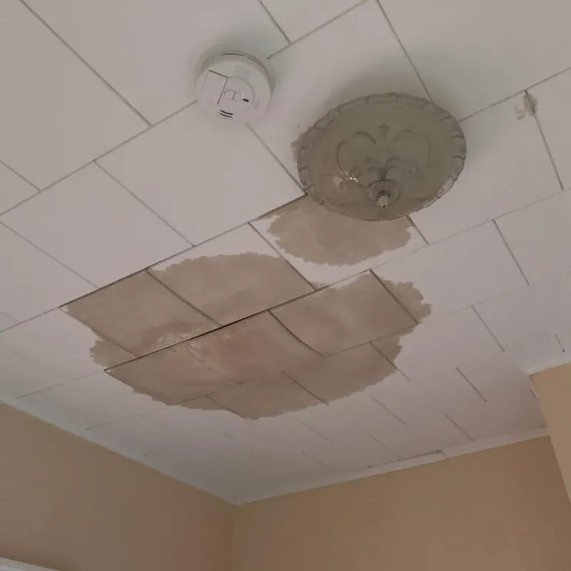 Ceiling Water Damage Repair in Middleton, WI