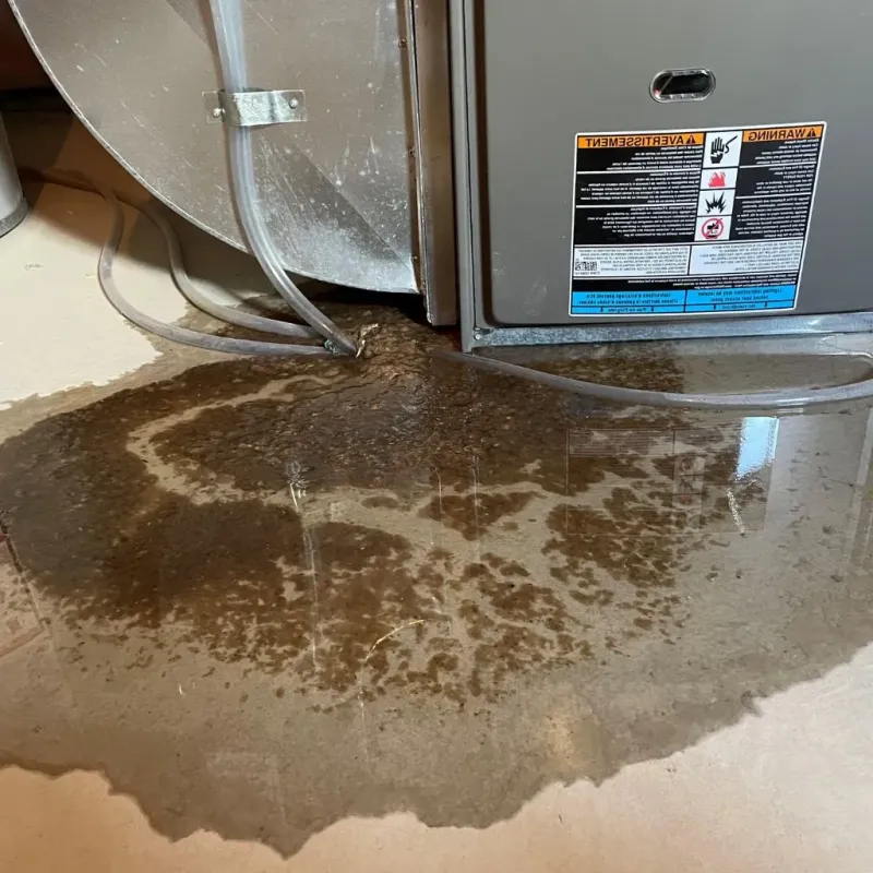 Pipe Burst and Leak Restoration in Middleton, WI